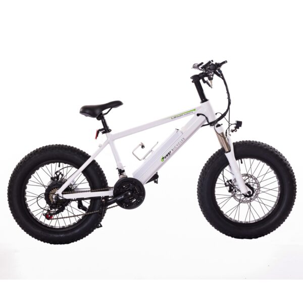 Little Maverick ePower Bicycle With Advance Features