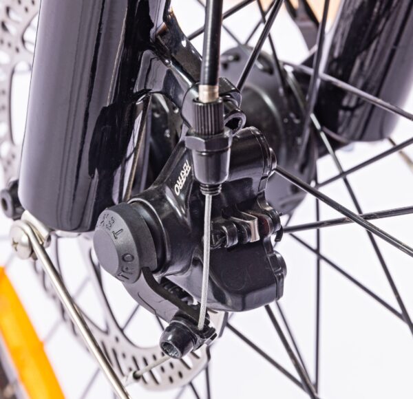 City Slicker eBike Spokes Picture